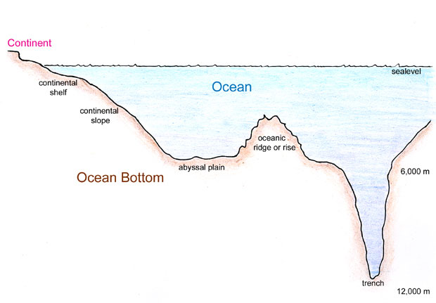 Typical Marine Topography