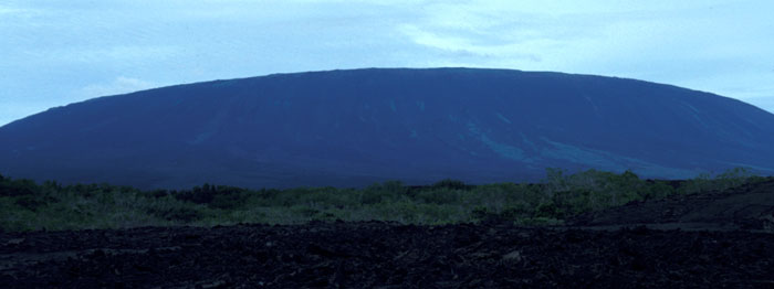 Galapagos Shield Volcano