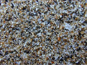White Hawaiian sand, mostly shell