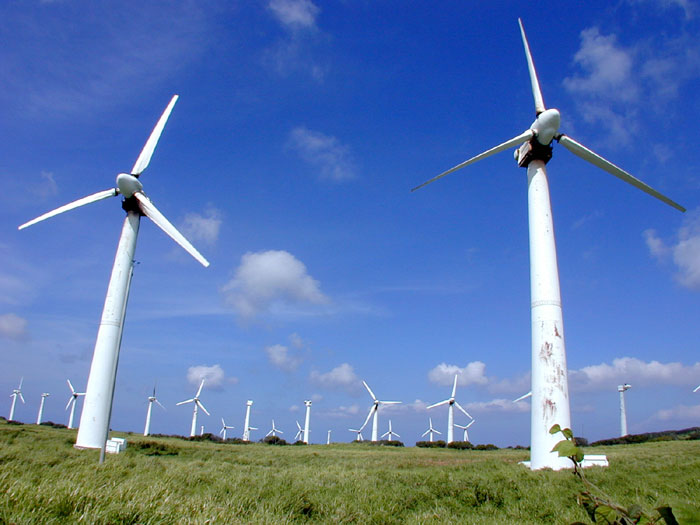 Wind machines near South Point, Hawaii