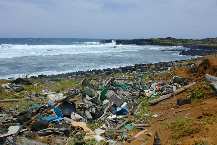 Hawaiian shoreline littered with plastic