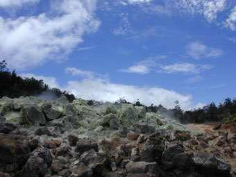 Sulfur Banks near Kilauea