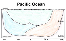 Pacific Bottom Water