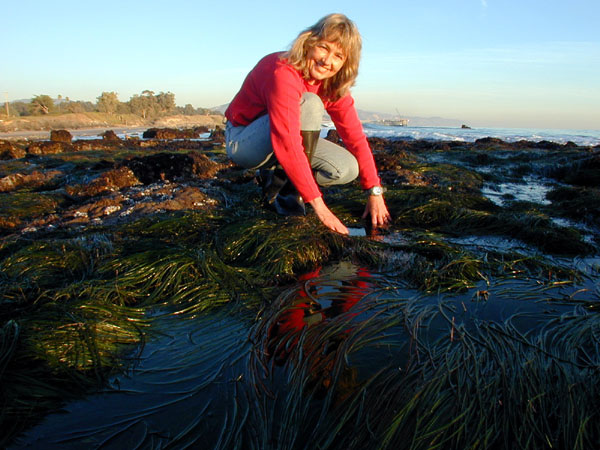 The author, Genny, showing the Low Tide Zone at Carpinteria State Park