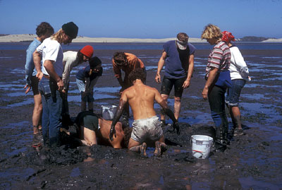 Students Digging for Geoducks