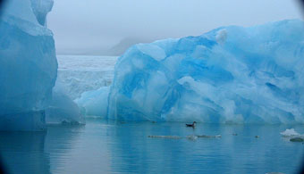 Arctic blue ice