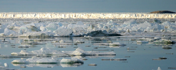 North polar pack ice