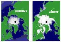 Arctic seasonal ice (edited NOAA image)