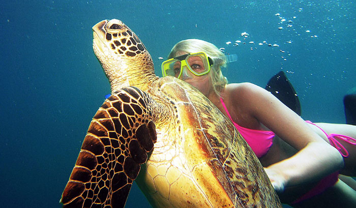 Marine Turtle with SBCC student
