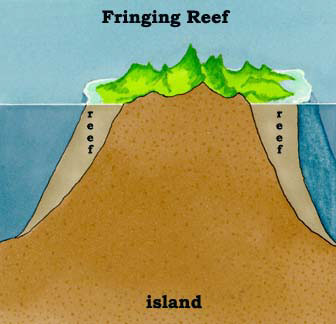 Fringing Reef