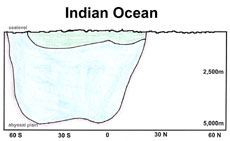 Indian Bottom Water